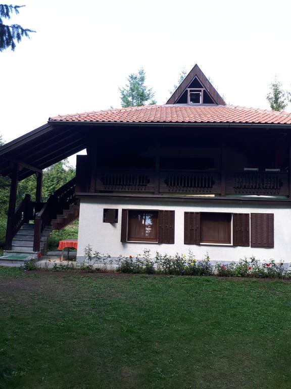 U Borovoj Sumi Apartment