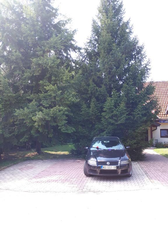 U Borovoj Sumi Apartment